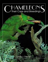 Chameleons