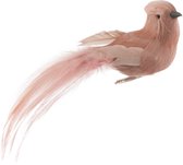 J-Line VOGEL+CLIP VEREN NUDE ASSORTIMENT VAN 2/ Set van 12 stuks