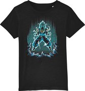 FanFix - Duurzaam - Fair Wear - Bio Katoen - Kinderen - Kinderkleding - Anime Shirt - Dragon Ball Shirt - Anime Merchandise - Goku - Vegeta -  Vegeto - Fusion - Dragon Ball T-Shirt