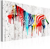 Schilderij - Colourful Zebra.