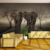 Fotobehang - Stad van olifanten.
