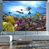 Zelfklevend fotobehang - Coral reef.