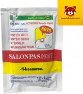SALONPAS PLEISTER HOT 12 patches 42mm x 65mm