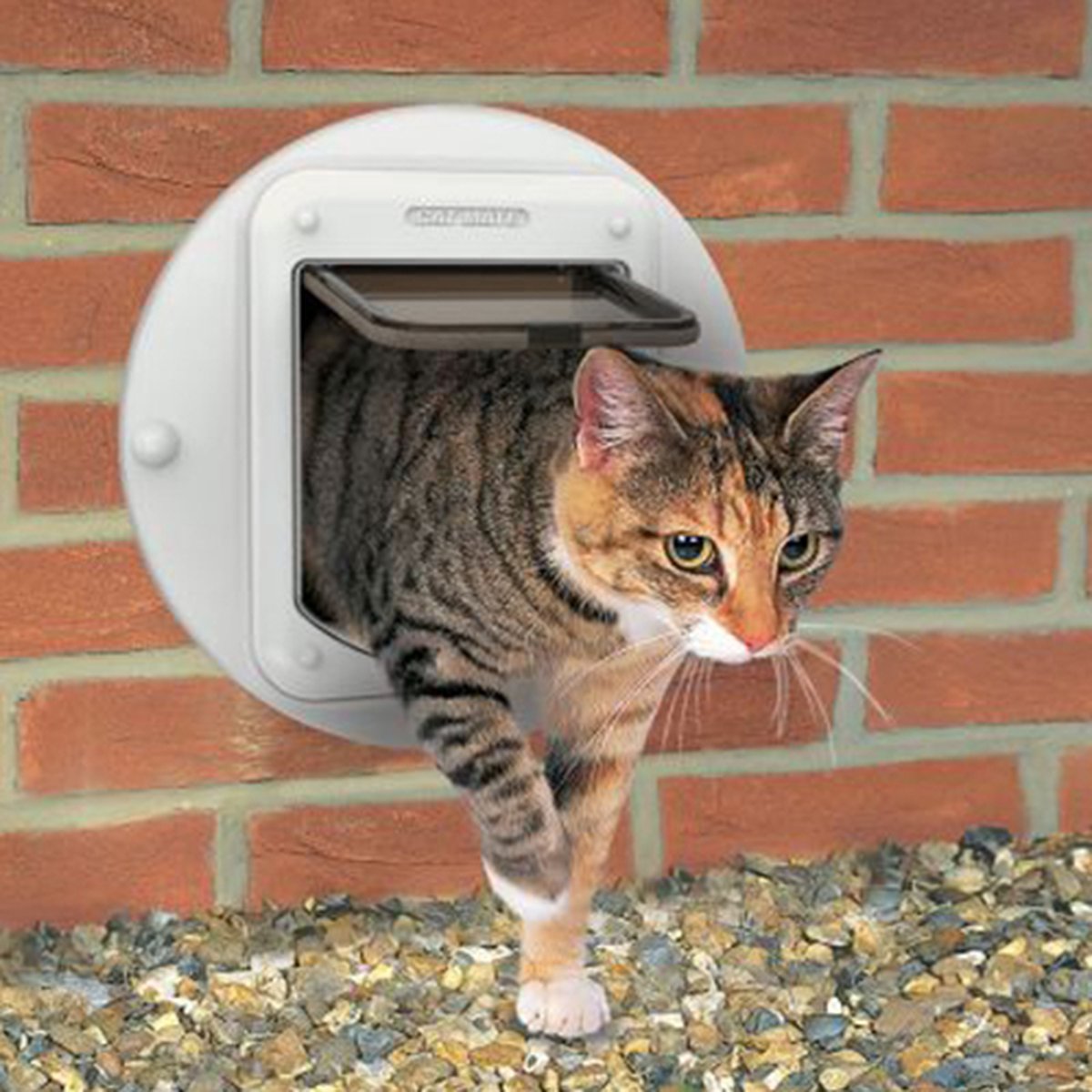 gemakkelijk te kwetsen Zachtmoedigheid Verslijten Cat Mate Kattendeur Microchip 360 Wit | bol.com
