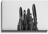 Walljar - Mini Cactus - Muurdecoratie - Canvas schilderij