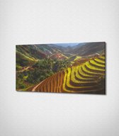 Mu Cang Chai In Vietnam Canvas- 100 x 60 cm