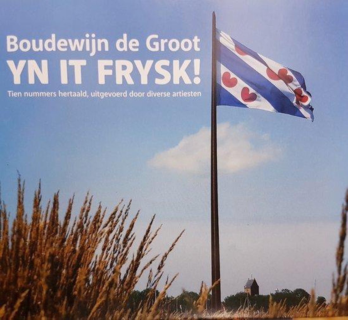 Various Artists - Yn It Frysk! Boudewijn De Groot (CD)