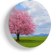 Artaza Houten Muurcirkel - Roze Sakura Bloesem Boom In Het Groene Veld - Ø 80 cm - Groot - Multiplex Wandcirkel - Rond Schilderij