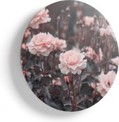 Artaza Houten Muurcirkel - Roze Rozen Bloemen  - Ø 60 cm - Multiplex Wandcirkel - Rond Schilderij