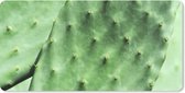 Bureaumat - Barbarije cactusblad mintgroen - 80x40 - Muismat