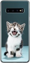 Geschikt voor Samsung Galaxy S10 hoesje - Kat - Kitten - Miauw - Siliconen Telefoonhoesje