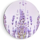 Artaza Dibond Cercle Mural Fleurs Violet Lavande - Ø 90 cm - Groot - Cercle Mural - Tableau Rond - Pour Intérieur et Extérieur