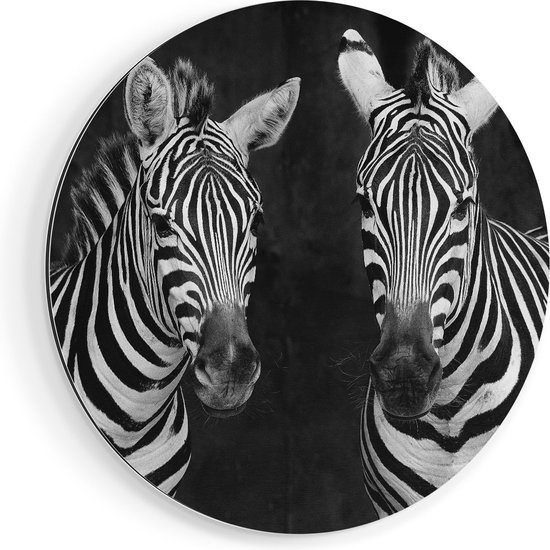 Artaza Dibond Muurcirkel Twee Zebra's - Zwart Wit - Ø 70 cm - Wandcirkel - Rond Schilderij - Voor Binnen en Buiten