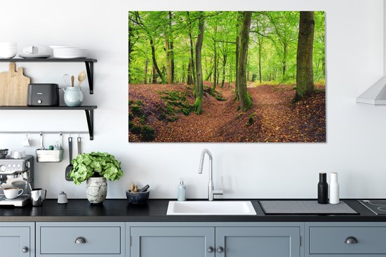 Tableau sur toile Vue de la zone boisée des Pays- Nederland - 120x80 cm - Décoration murale