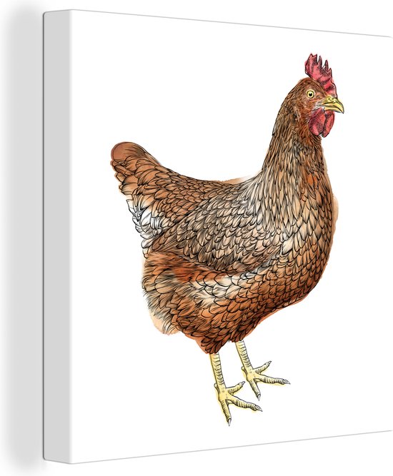 Canvas Schilderij Illustratie van een bruine kip op een witte achtergrond - 20x20 cm - Wanddecoratie