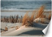 Trend24 - Behang - Duinen Aan De Oostzee - Vliesbehang - Fotobehang Natuur - Behang Woonkamer - 300x210 cm - Incl. behanglijm