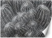 Trend24 - Behang - Cactussen In Grijs - Behangpapier - Behang Woonkamer - Fotobehang - 100x70 cm - Incl. behanglijm