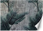 Trend24 - Behang - Exotische Bladeren Op Een Grijze Achtergrond - Vliesbehang - Behang Woonkamer - Fotobehang - 254x184 cm - Incl. behanglijm