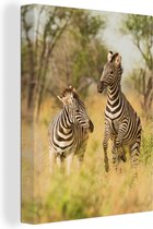 Canvas Schilderij Close-up van twee zebra's in het landschap van Zuid-Afrika - 90x120 cm - Wanddecoratie