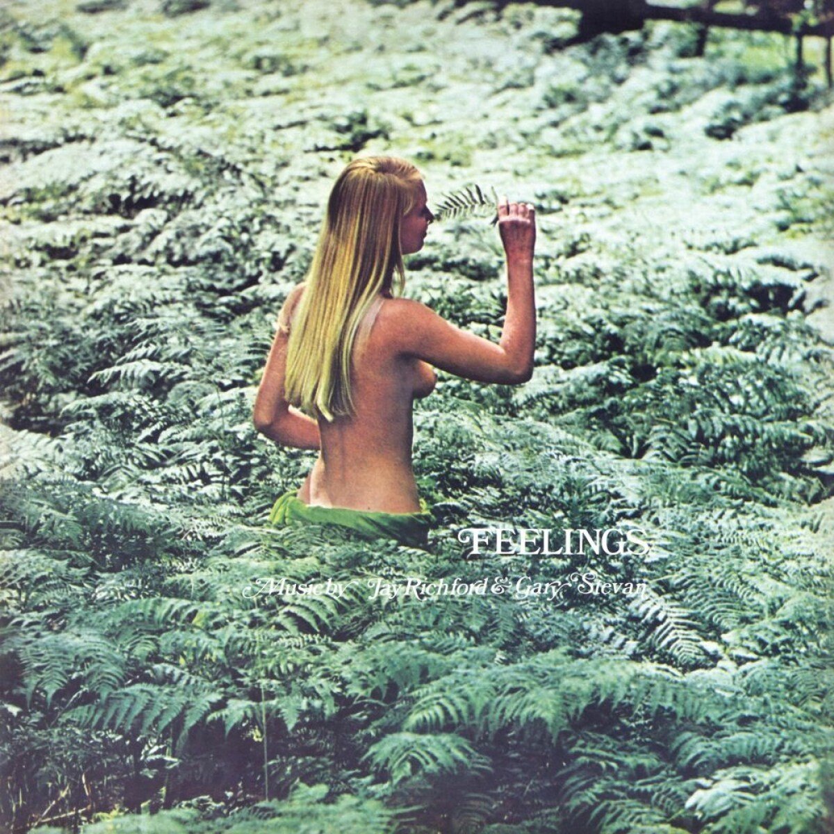Jay & Richford & Gary Stevens - Feelings (LP)