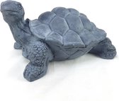 Black Tortoise 37*28*19cm