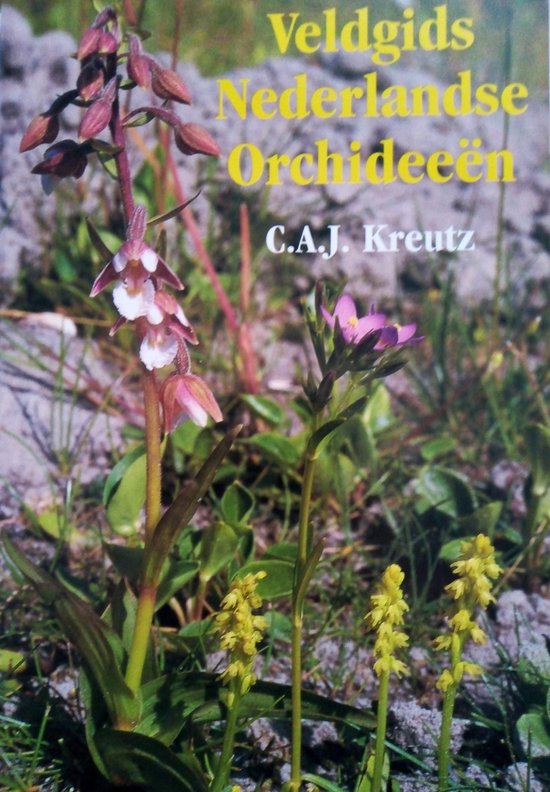 9789080662612 - Veldgids nederlandse orchideeën