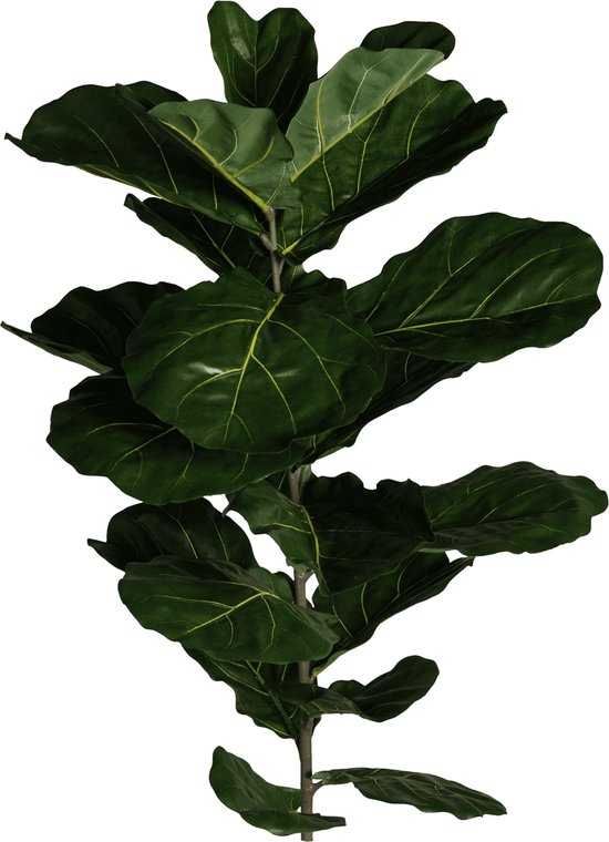 Ficus lyrata (plante feuille de violon, plante de tabac) - Plante artificielle - 11 feuilles - tige en plastique - résistant aux UV - 77cm