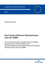 Europ�ische Hochschulschriften Recht-Das Prinzip effektiven Rechtsschutzes nach der EMRK
