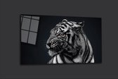 Tiger 2.0 100x65 plexiglas