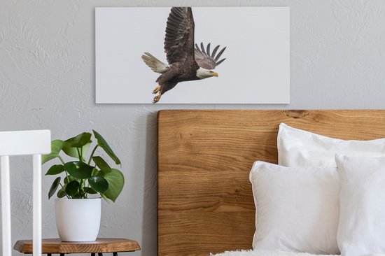 Toile Peinture Aigle de Mer - Vogel - Amérique - 40x20 cm - Décoration murale