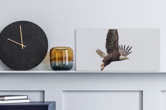 Toile Peinture Aigle de Mer - Vogel - Amérique - 40x20 cm - Décoration murale