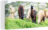 Canvas Schilderij Alpaca - Berg - Gras - 40x20 cm - Wanddecoratie