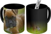 Magische Mok - Foto op Warmte Mok - Een puppy ligt in het gras - 350 ML