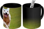 Magische Mok - Foto op Warmte Mokken - Koffiemok - Flapperende oren van een hardlopende Golden Retriever - Magic Mok - Beker - 350 ML - Theemok