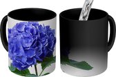 Magische Mok - Foto op Warmte Mok - Hortensia blauw - 350 ML