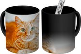 Magische Mok - Foto op Warmte Mok - Kat - Hout - Kast - 350 ML