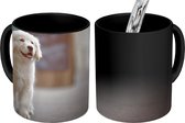 Magische Mok - Foto op Warmte Mokken - Koffiemok - Een Golden Retriever puppy lopend op de stoep - Magic Mok - Beker - 350 ML - Theemok