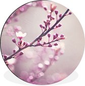 WallCircle - Wandcirkel - Muurcirkel - Close-up van de paarse bloemen van een sakura - Aluminium - Dibond - ⌀ 140 cm - Binnen en Buiten
