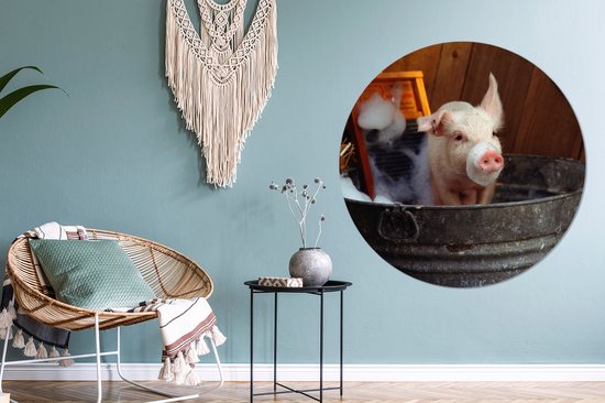 WallCircle - Wall Circle - Wall Circle Indoor - Cochon Lavé - 120x120 cm - Décoration murale - Peintures Ronds XXL