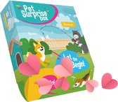 Pet SurpriseBox Valentijnsbox Hond (PREMIUM) - honden speelgoed - honden snacks - S (tot 8kg)