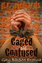 Caged and Contused: Gay BDSM Erotica