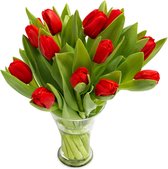 e-bloom | Verse Rode Tulpen - 12 stuks - ca. 30 cm