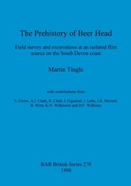 The Prehistory of Beer Head
