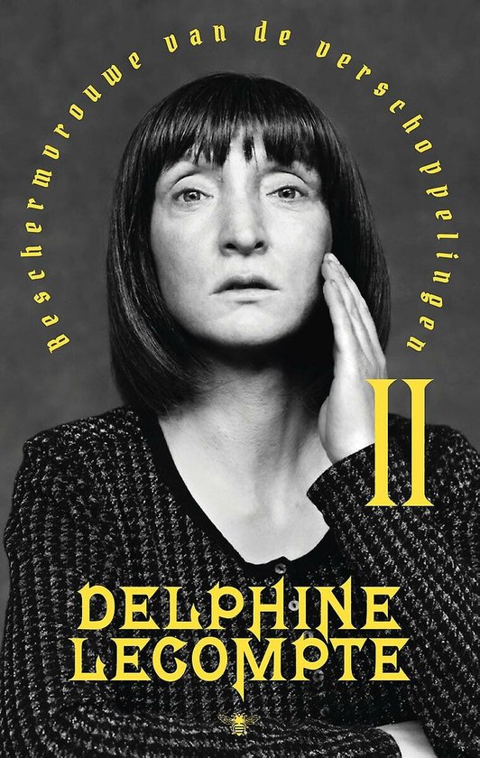 Boek cover Beschermvrouwe van de verschoppelingen 2 van Delphine Lecompte