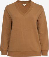 EVIVA - Sweater met v-hals - bruin