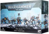 Space Wolves Grey Hunters