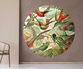 Muurcirkel Forex Ø 120 cm - Hummingbirds, Ernst Haeckel - Wallz