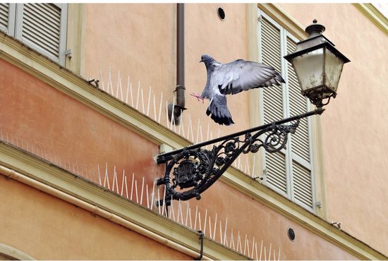 Pointes anti-pigeons, pointes anti-oiseaux en plastique, anti-pigeons balcon,  5,7 m 3
