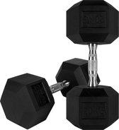 RYZOR Dumbell set van 2 x 20 kg - Hexagon halterset - Dumbells 20 kg - Halterset - Halter gewichten - Gewichten - Gewichten set - Vaste dumbells - Halters en gewichten - Fitness en Training - Dumbbellsets - Krachtbenodigdheden - Rubber en staal