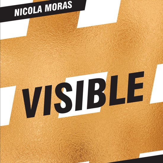 VISIBLE - cover